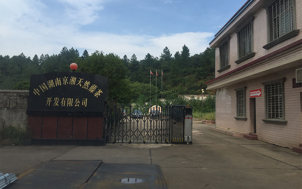 湖南京湘天然藤茶
